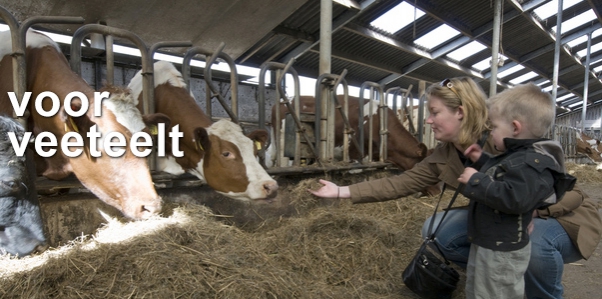 voor veetelt